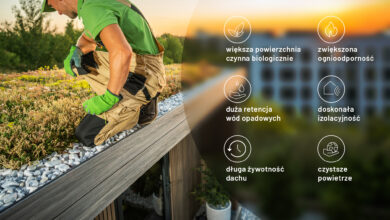 Dachy zielone – ekologiczna rewolucja w miejskiej architekturze dzięki swissporGREEN System