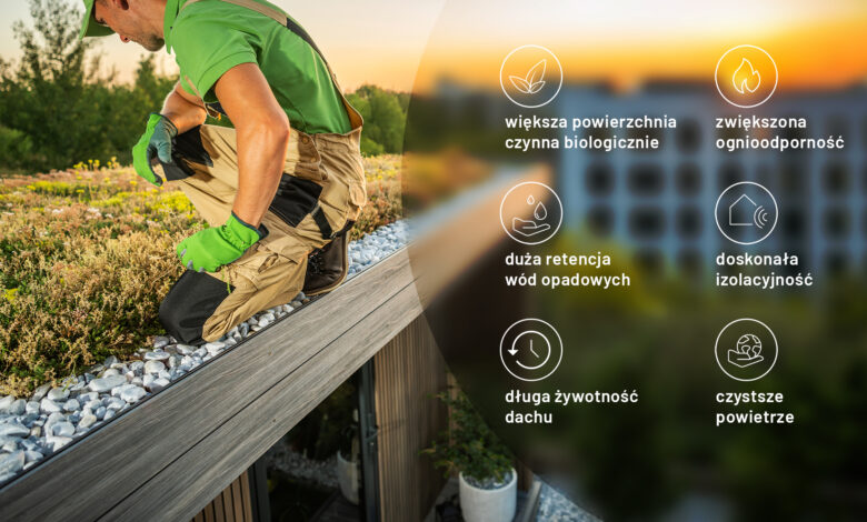 Dachy zielone – ekologiczna rewolucja w miejskiej architekturze dzięki swissporGREEN System