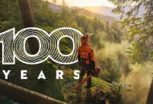 Historia firmy STIHL rozpoczęła się w 1926 roku od jednoosobowego warsztatu w Stuttgarcie. Dziś to rodzinne przedsiębiorstwo wyznacza światowe standardy w produkcji urządzeń zasilanych akumulatorowo i spalinowo, wykorzystywanych w leśnictwie, architekturze krajobrazu, ogrodnictwie i budownictwie. STIHL zaczynał od produkcji urządzeń spalinowych, a obecnie świadomie realizuje strategię łączenia ich z akumulatorowymi następcami. Ta globalna firma z siedzibą w Waiblingen dostrzega ogromny potencjał w wykorzystaniu akumulatorów, a plany na przyszłość obejmują osiągnięcie wiodącej pozycji rynkowej w zakresie obydwu technologii.